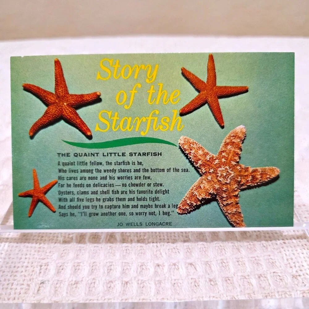 Vintage Story of the Starfish The Quaint Little Starfish HS Crocker Postcard UNP